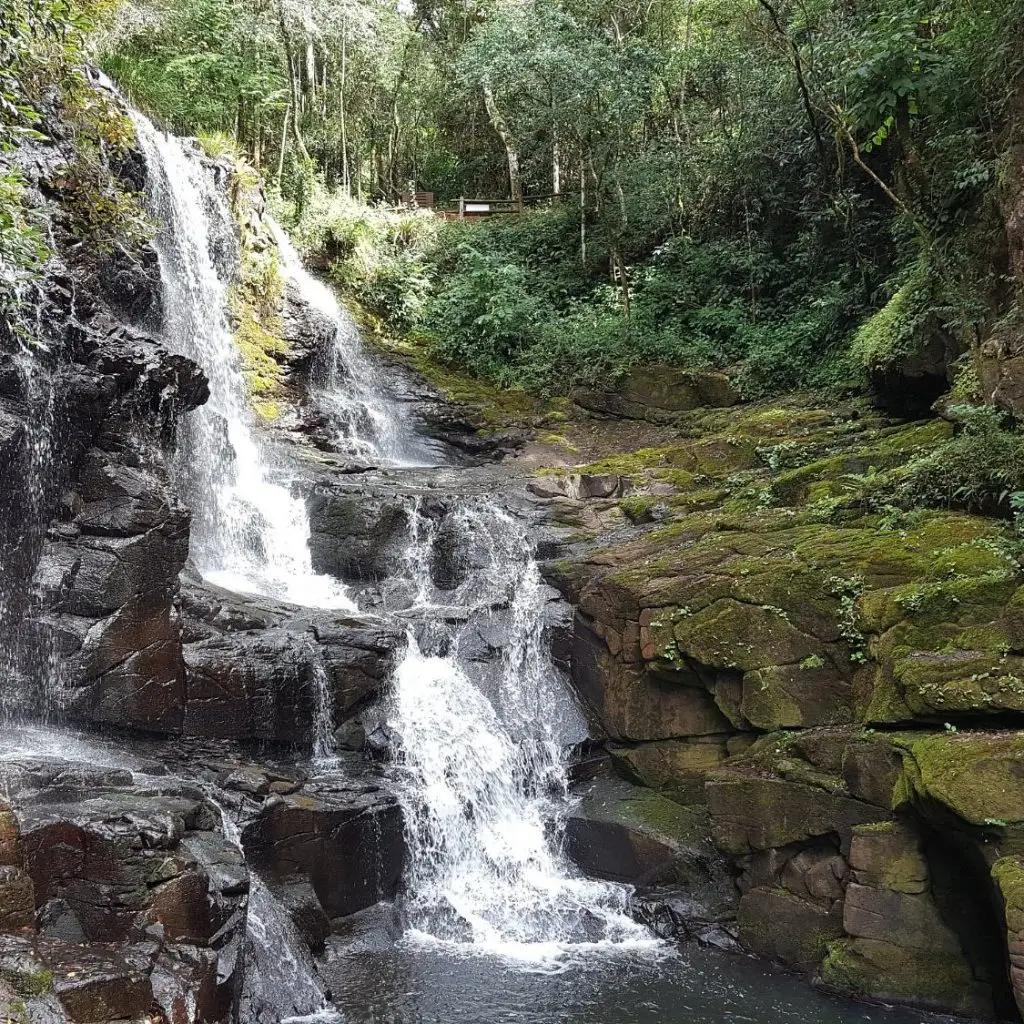 en-uno-de-los-senderos