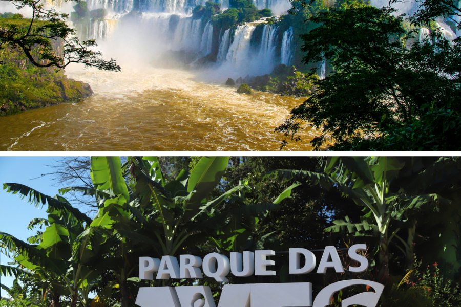 Iguassu Falls Brazilian side + Birds Park (Full Day)